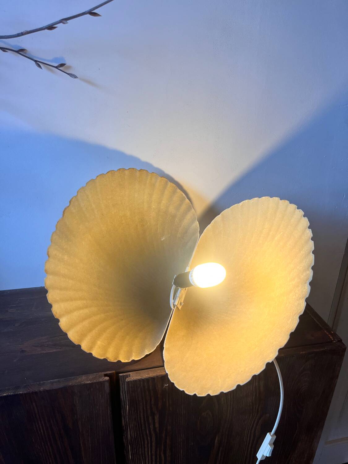 Shell lamp by Michel Mahé + André Cazenave po