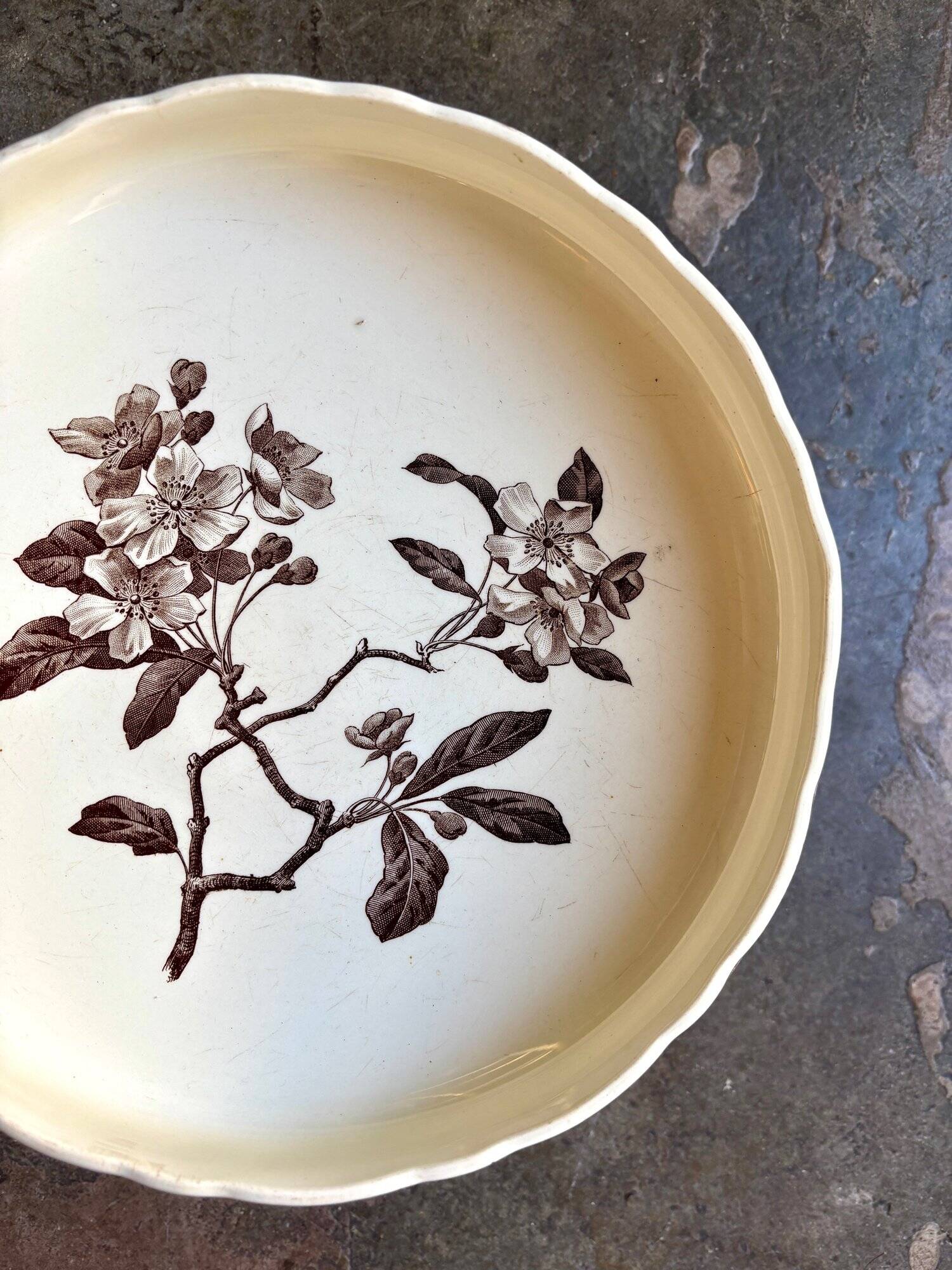 Large Creil & Montereau fruit bowl in brown ironstone