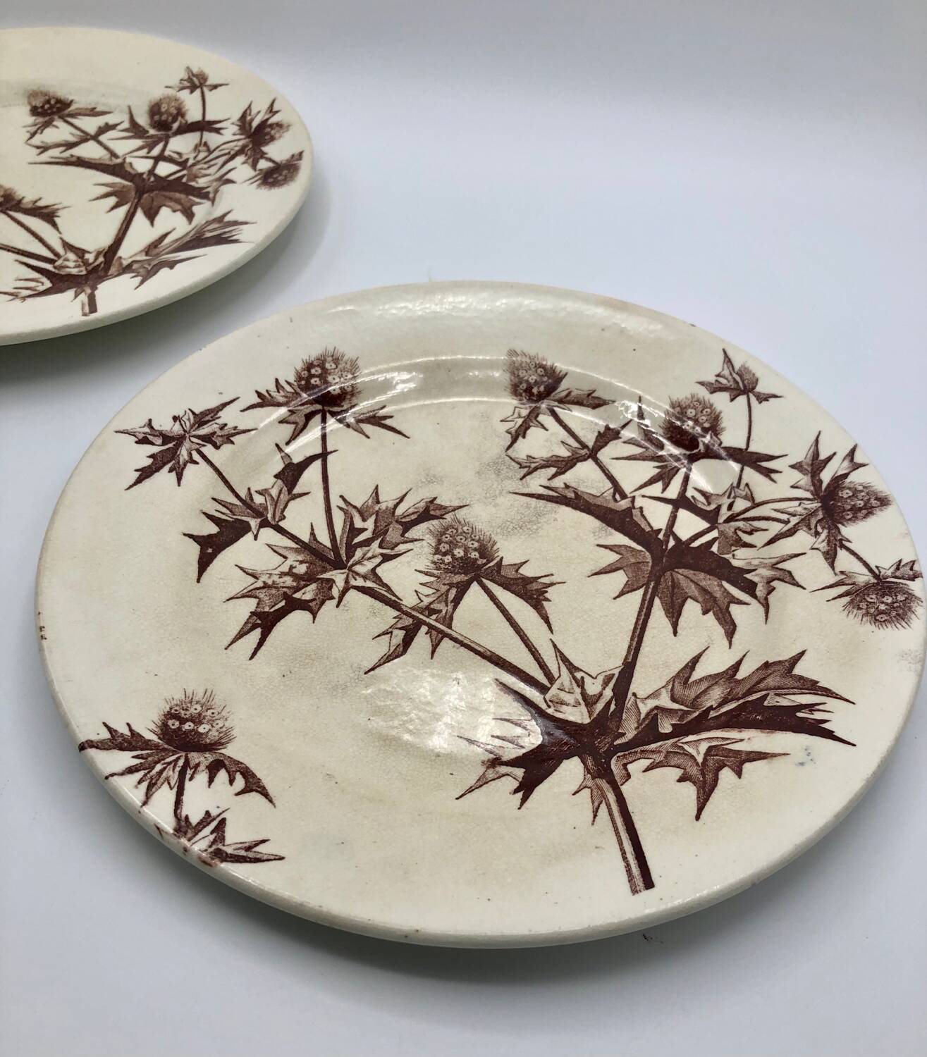 Jules Vieillard Bordeaux dessert plates