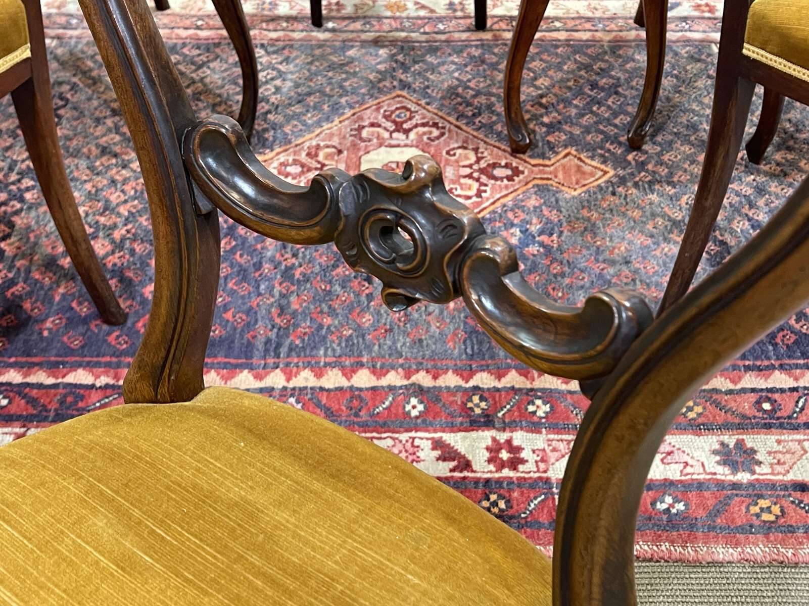 Set of 6 19th century English chairs in walnut