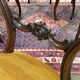 Set of 6 19th century English chairs in walnut