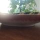 Vintage ceramic plate Hubert Bequet Quaregnon gold - No. 477
