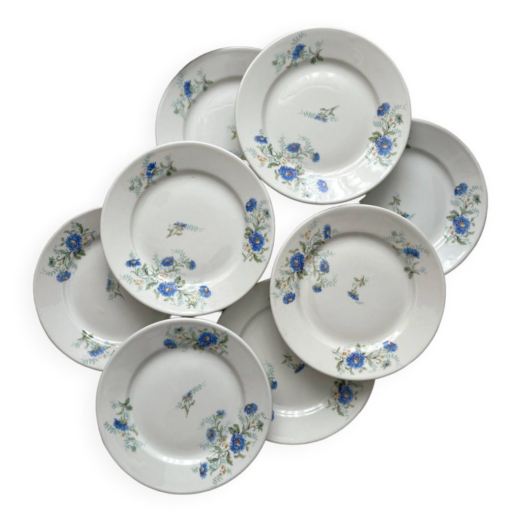 8 old porcelain dinner plates A. Hache & Cie Vierzon Selency