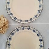 6 assiettes plates anciennes dépareillées terre de fer