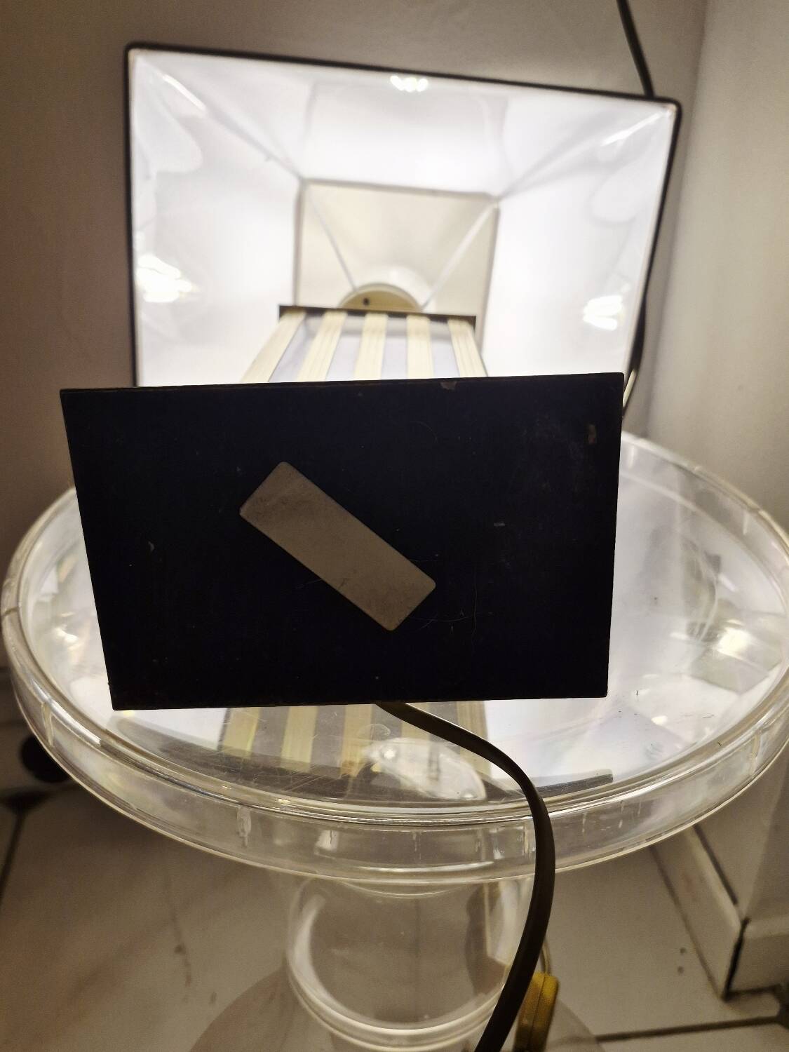 Lampe Le Dauphin doré et argenté