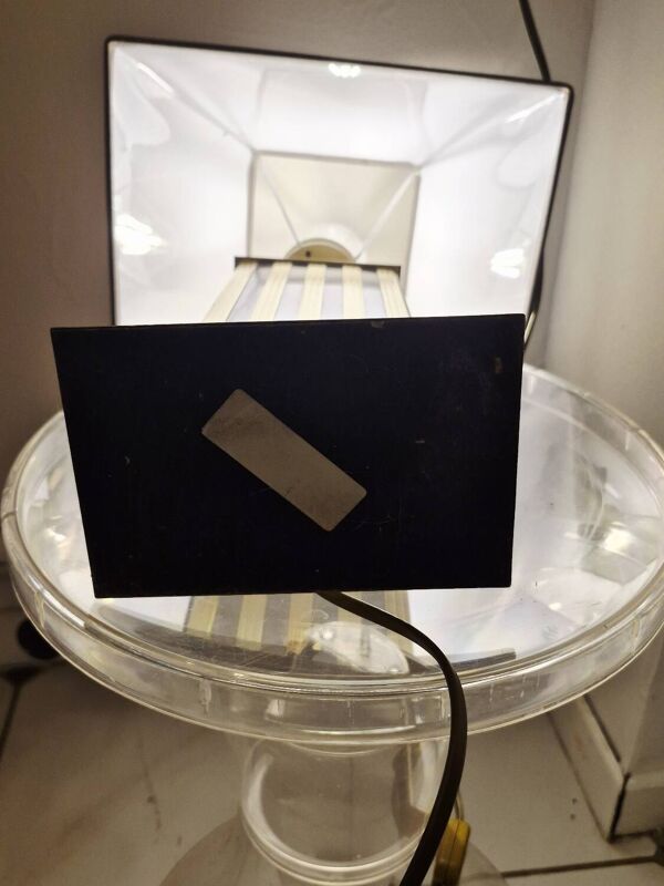 Lampe Le Dauphin doré et argenté