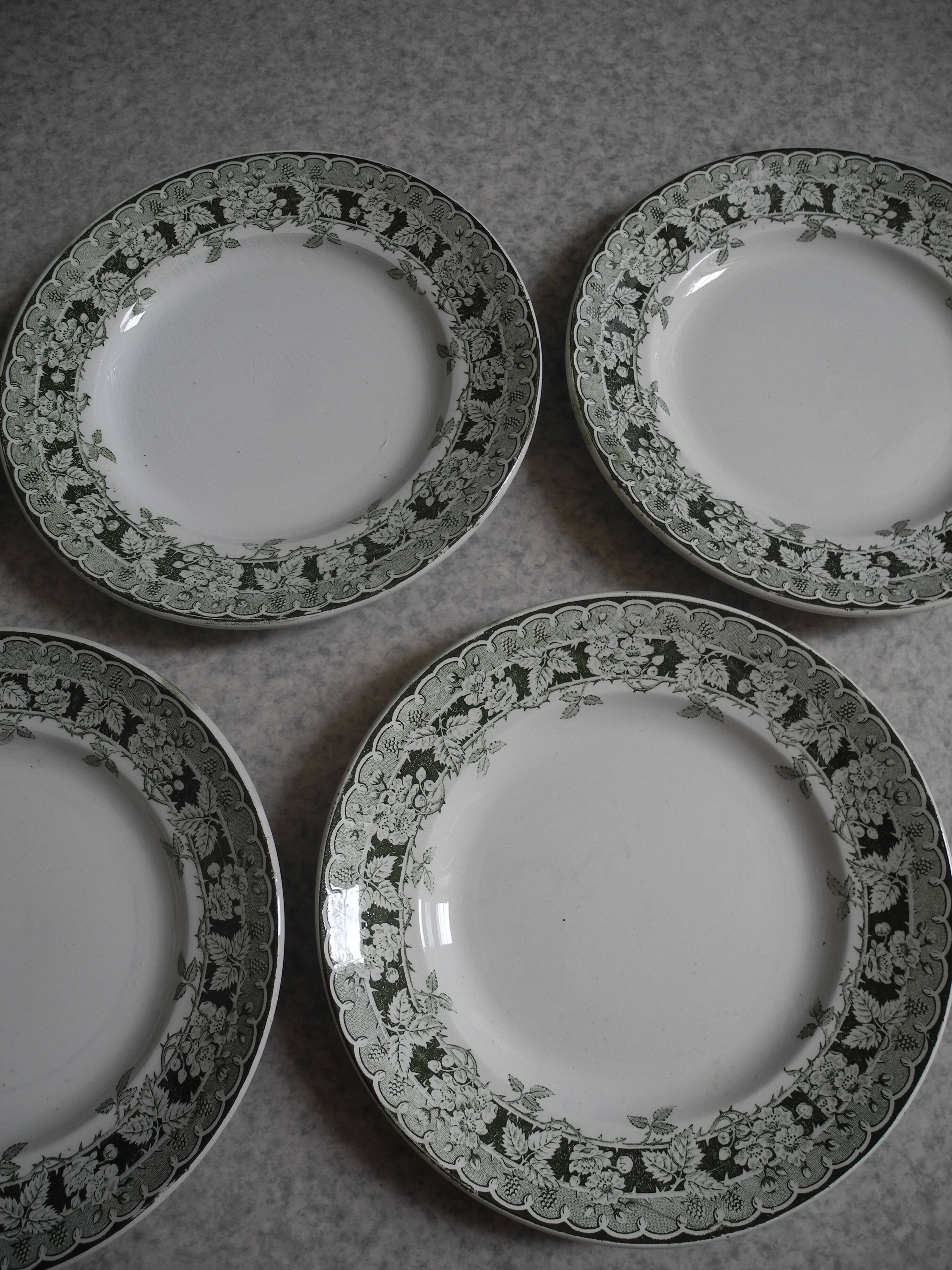 Lot of 5 flat plates, St Amand earthenware, antique French flate plates, 30s