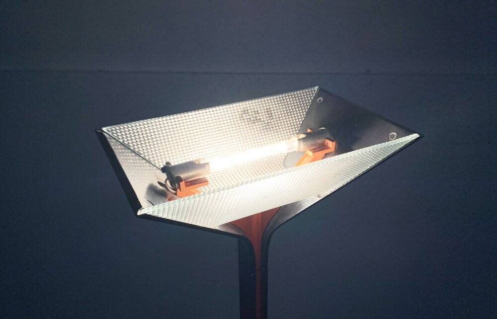 Vintage Space Age Papillona Floor Lamp by Afra & Tobia Scarpa for Flos, 1970s