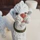 Mid-century poodle
