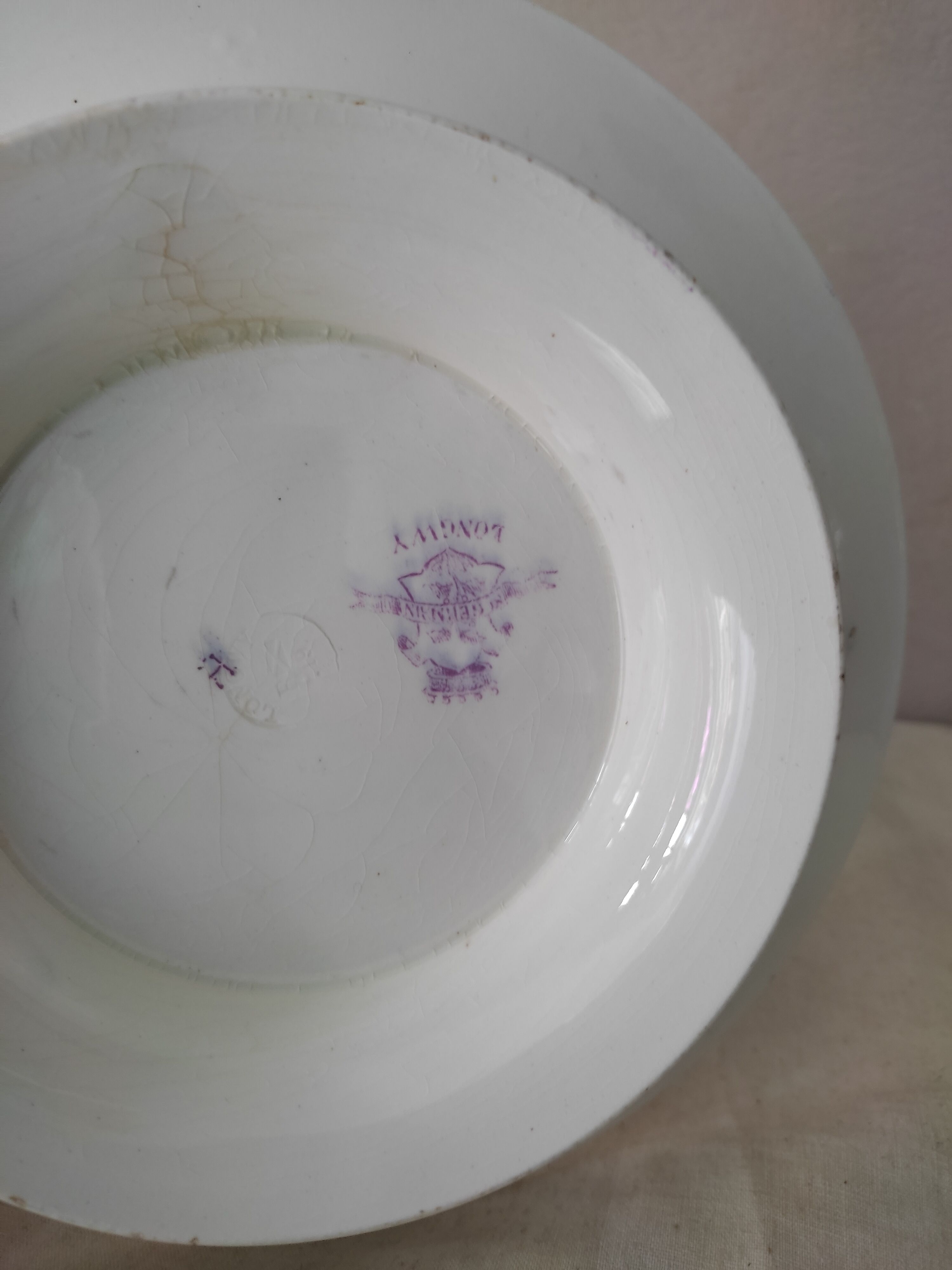 Presentation plate on foot shower