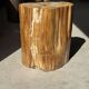Table d'appoint en bois pétrifié orange doré et blanche ovale H46 D38 - 333