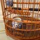 Ancienne cage à oiseaux en bois et rotin