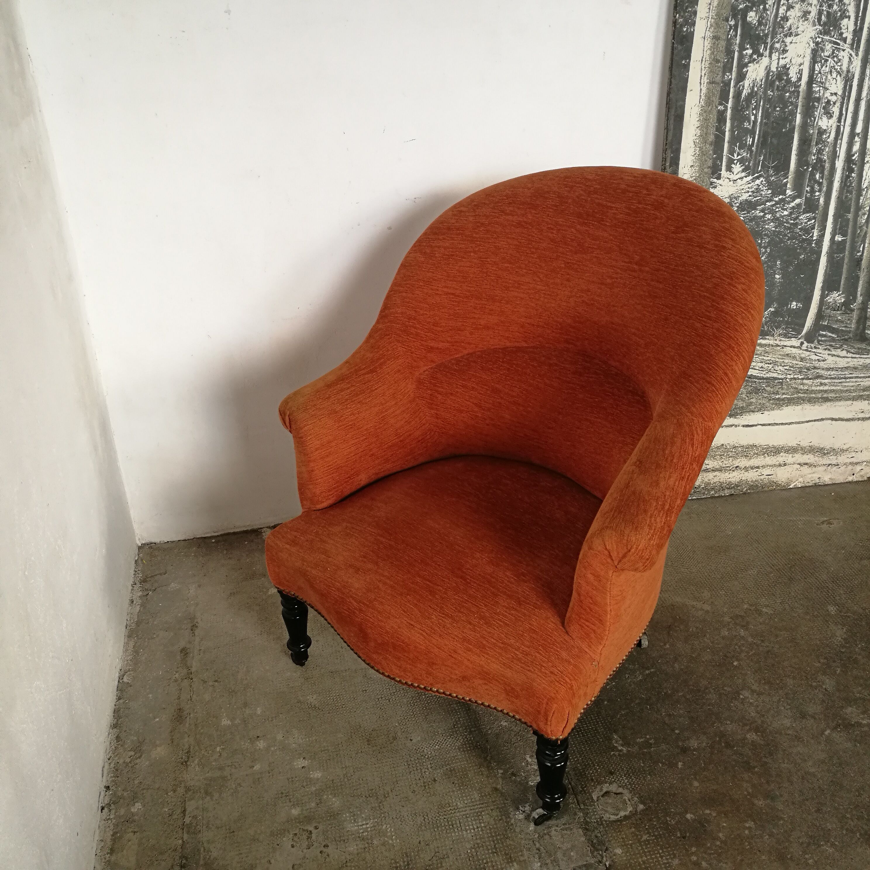 Toad armchair, Napoleon III