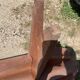 Pair of solid wood farmhouse benches 250cm for rustic farmhouse table 1950