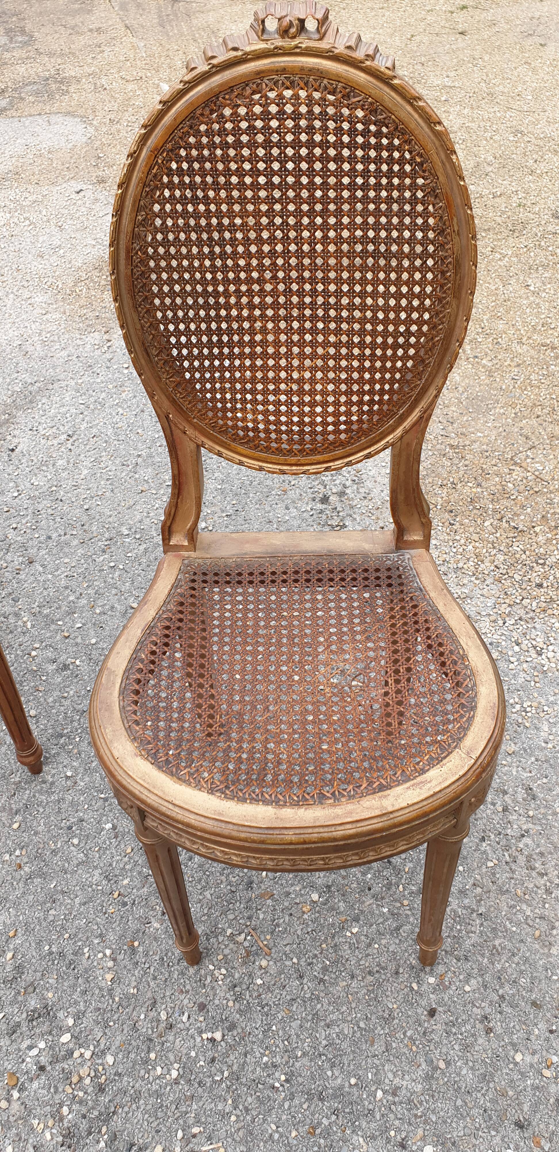 Chair and bench canned music room XIXth