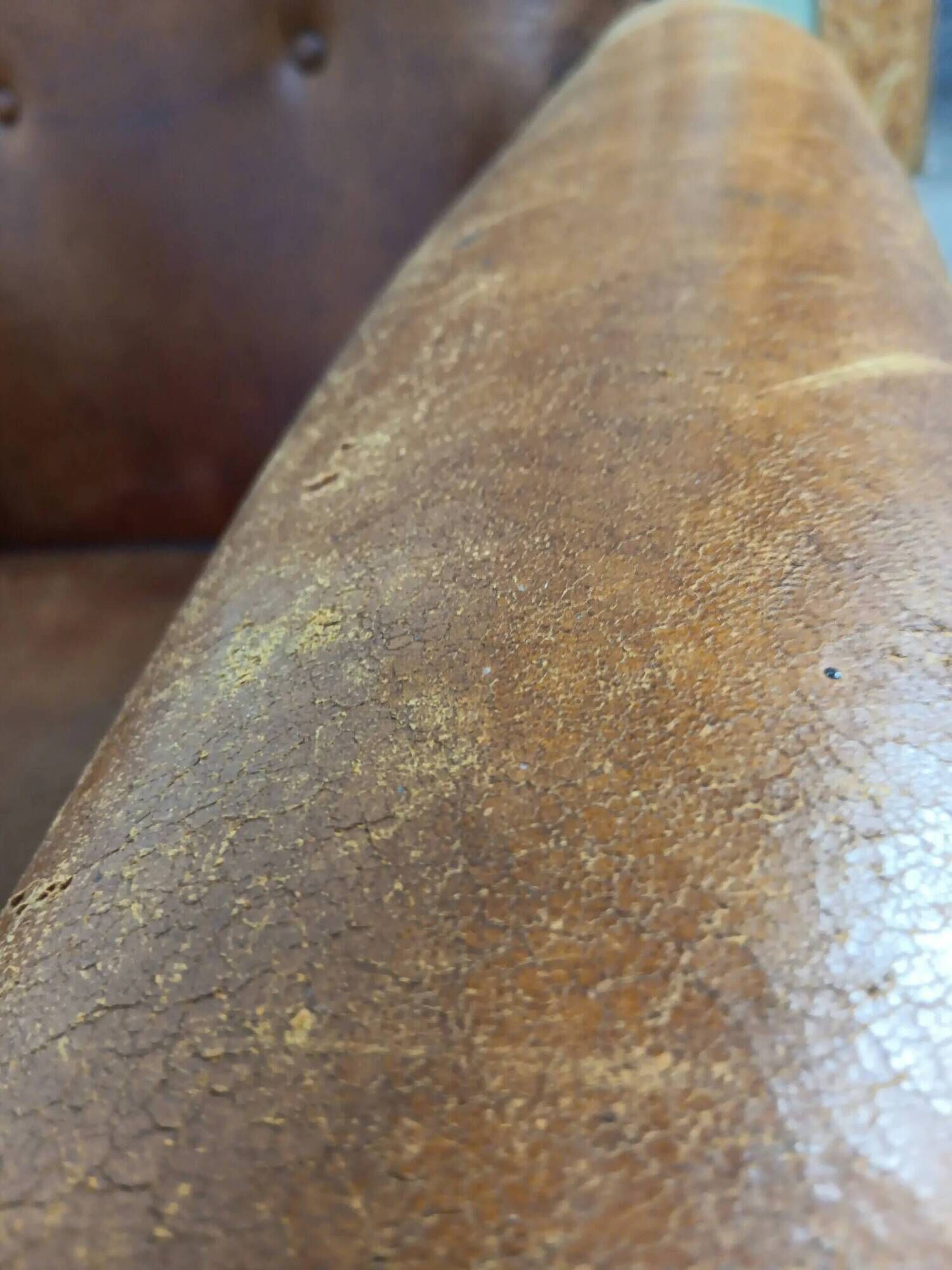 Vintage Sheepskin Club Chair - Raw Patina, Man Cave Essential
