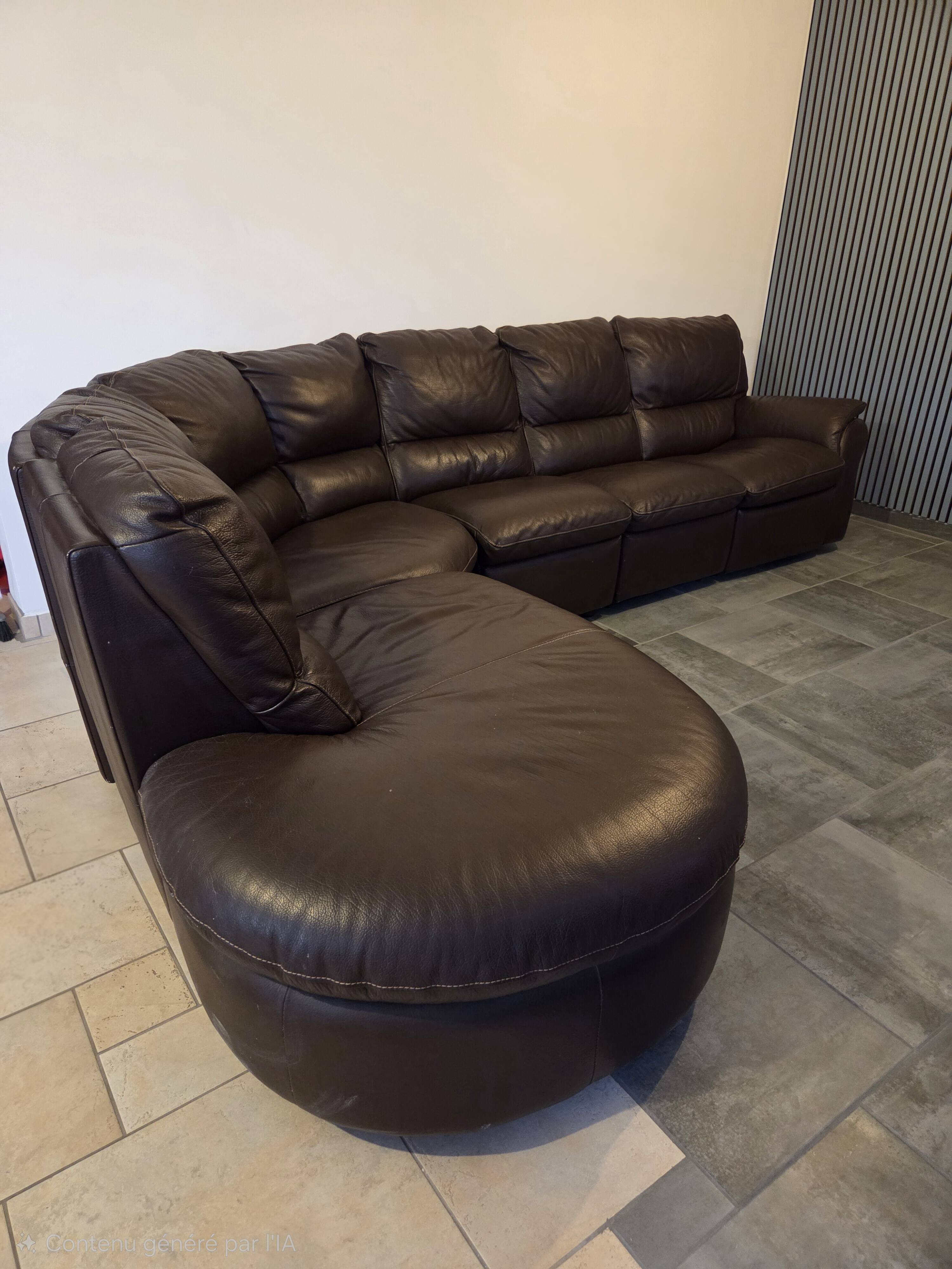 Canapé cuir Roche Bobois