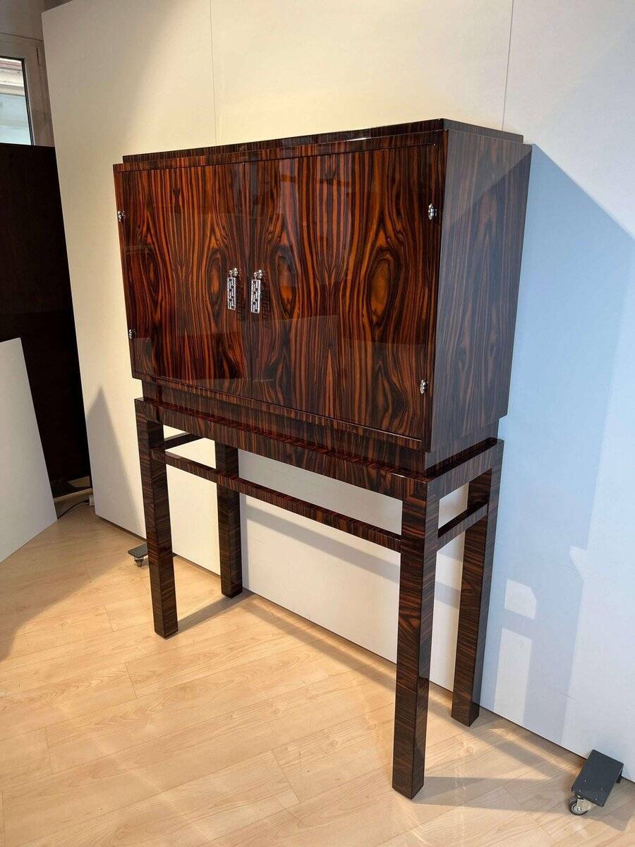 Tall Art Deco Cabinet in Macassar Veneer and Mahogany, France, 1930s