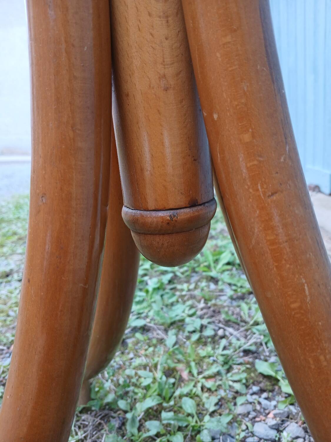 Antique parrot coat rack