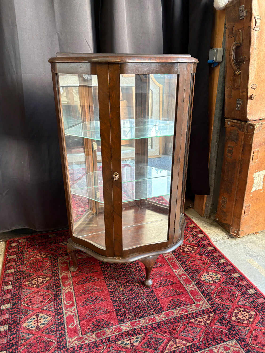 Antique English wooden display cabinet - Curved legs & 3 shelves
