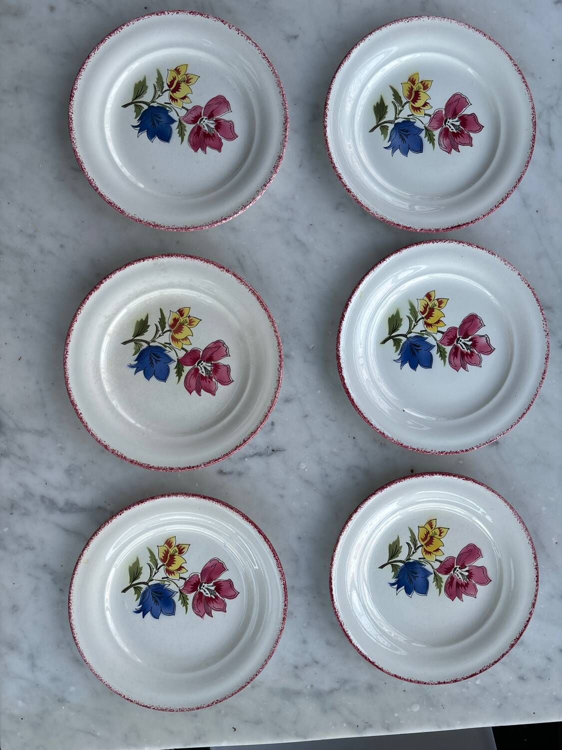 Set of 6 Saint Amand Maïté plates