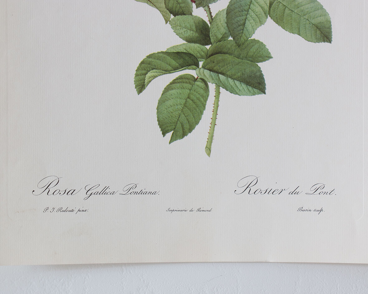 Dreaded botanical board