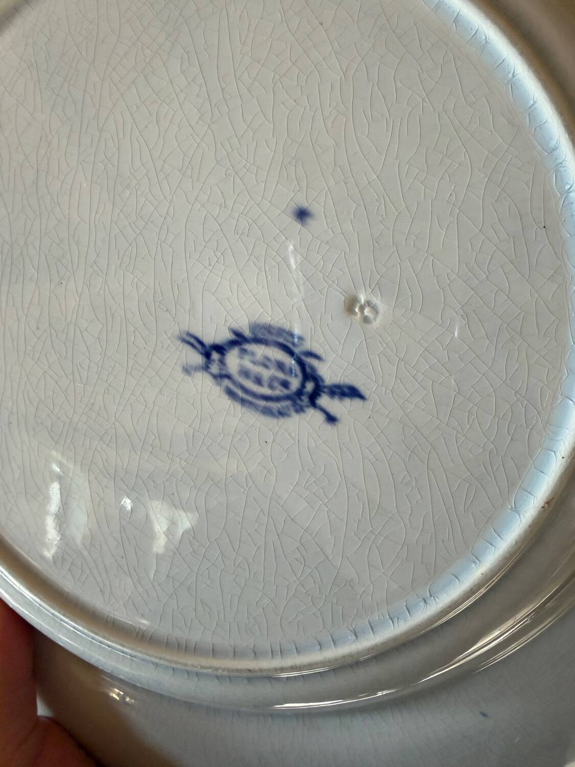 Round plate in ironstone Creil and Montereau model Flora
