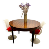 Danish Rosewood Folding Dining Table, 1960s