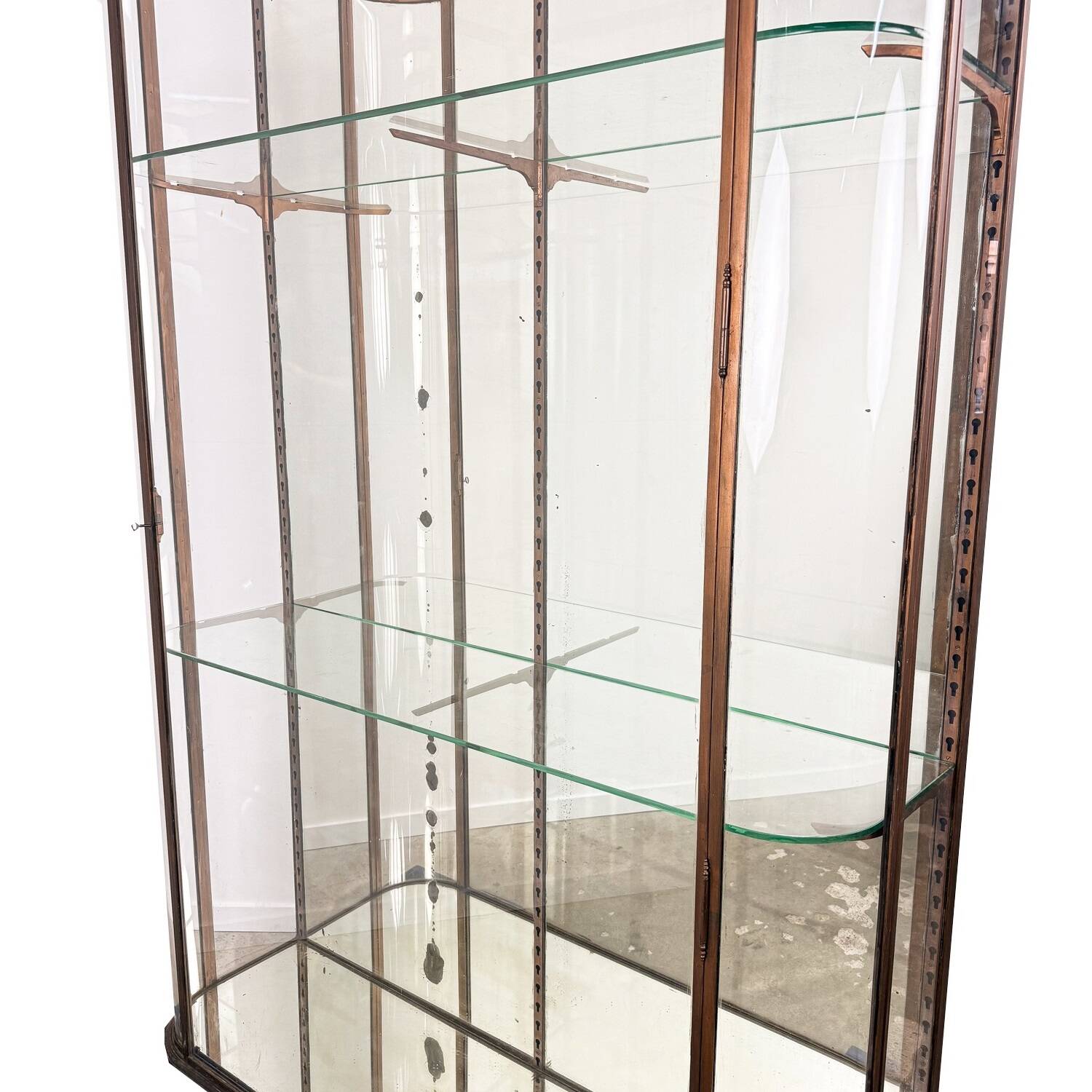 Large Antique Museum Display Cabinet with Curved Glass