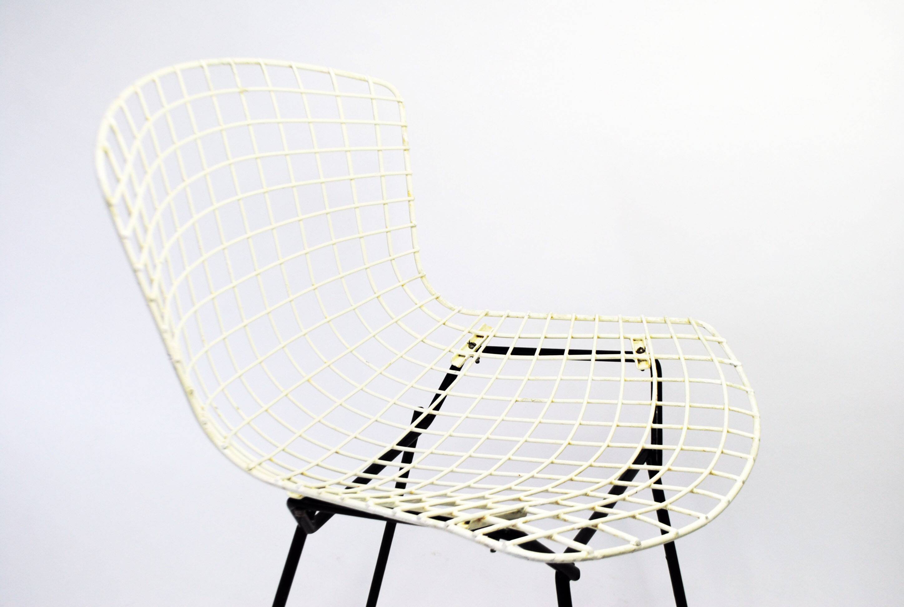 Bertoia dise chair