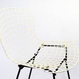 Bertoia dise chair
