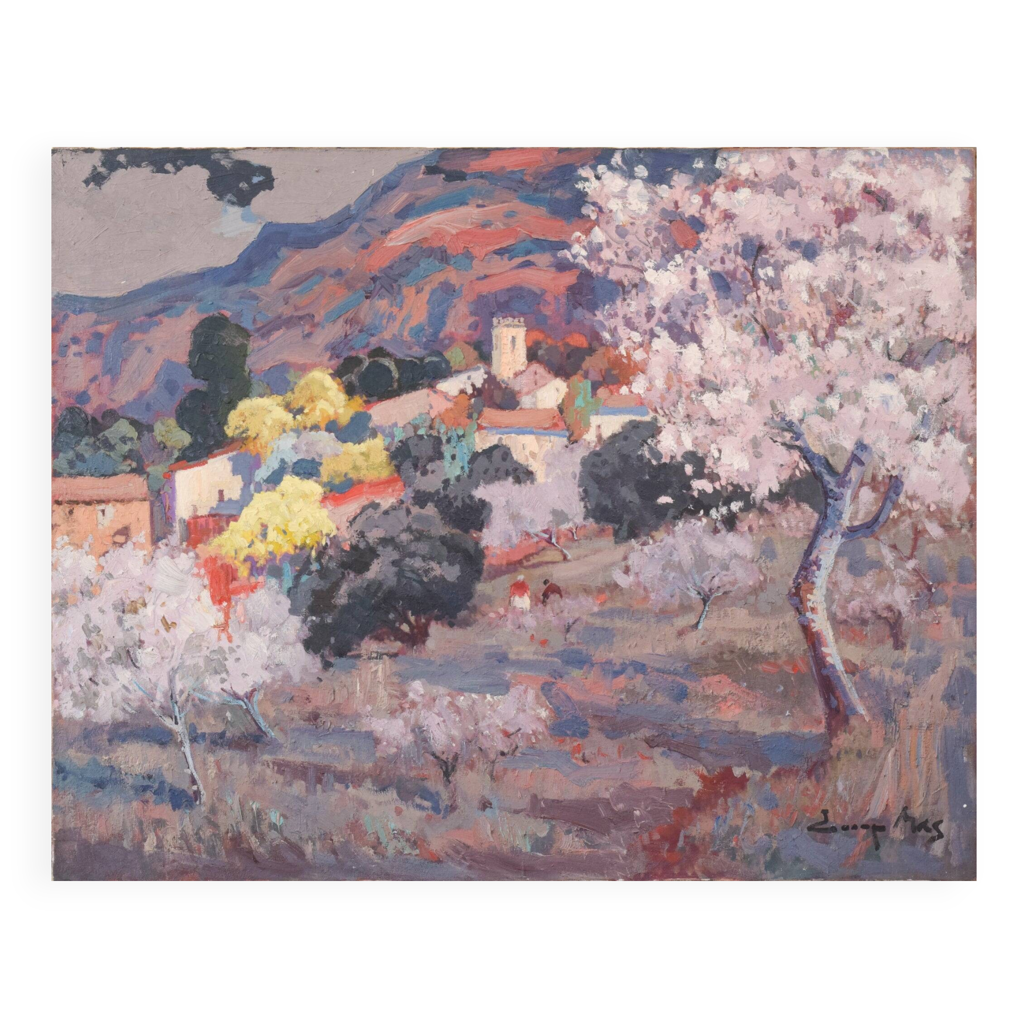 Josep Mas Pou - Almond Blossom