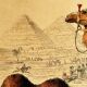Original zoological plank "Chameau - Dromadaire" Buffon 1838