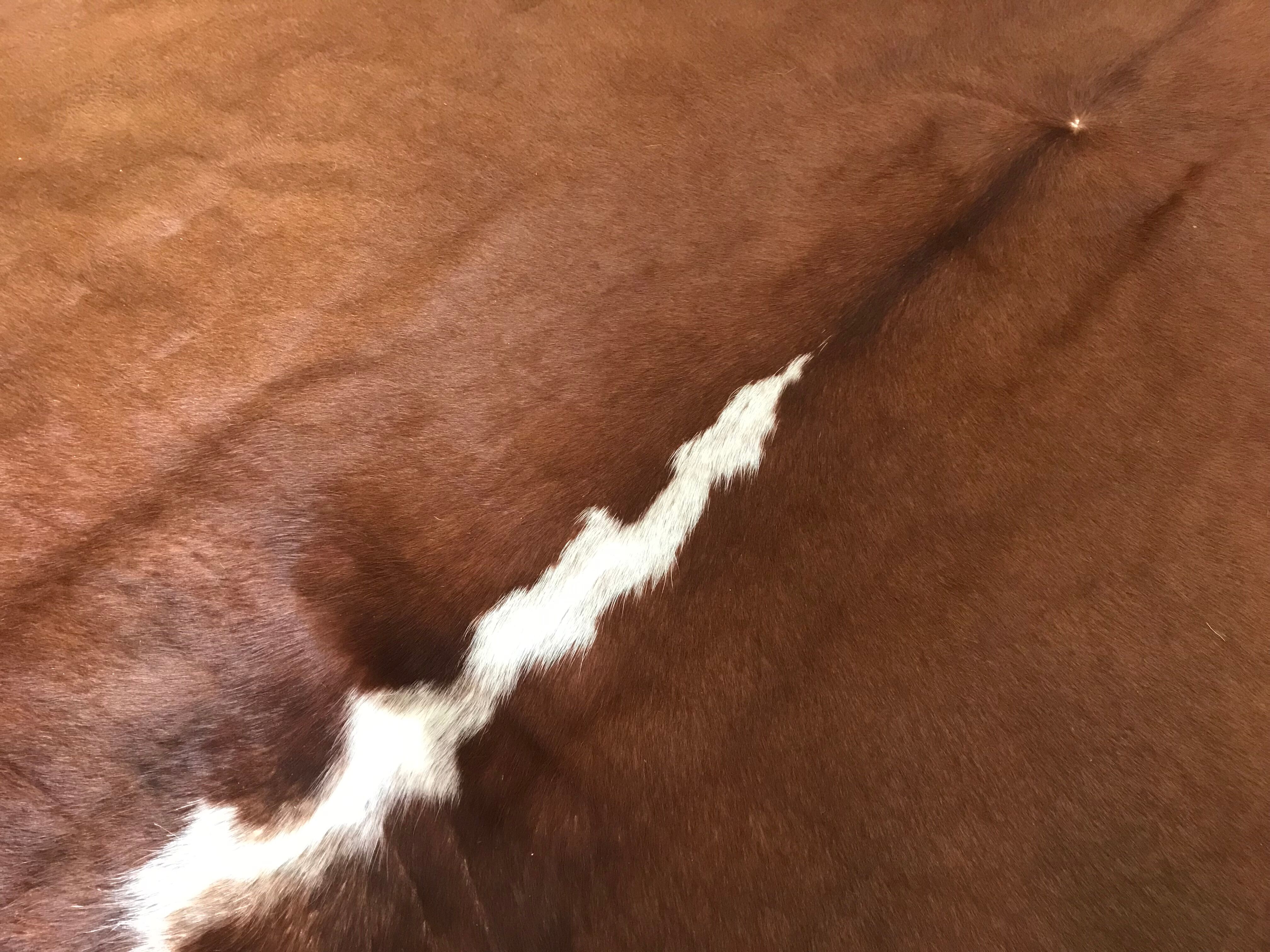 Vintage cowhide 225x170cm