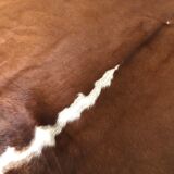 Vintage cowhide 225x170cm