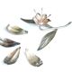 Flower ashtray in silver metal signed Plame, years 60