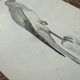 Vintage botanical board bird engraving 19th signed G Denise