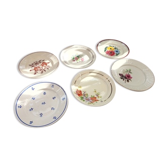 Assorted 6 flower plates