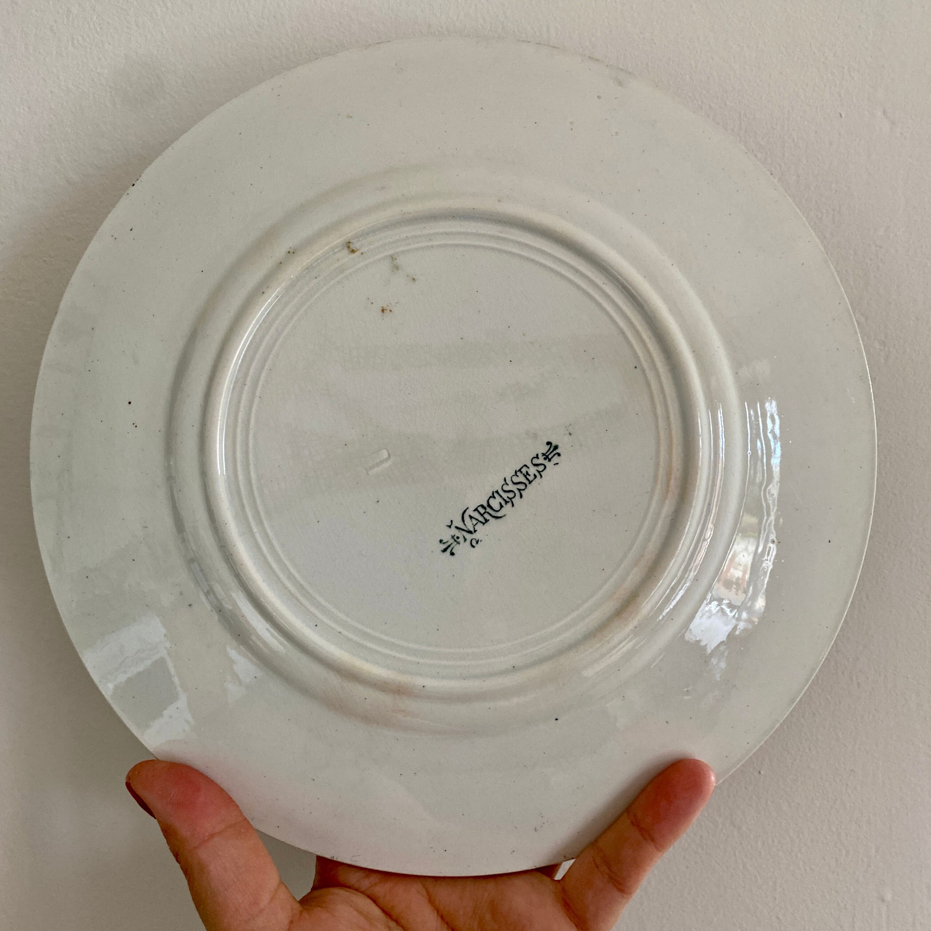 Set of 6 flat plates in iron earth (LOT 5)