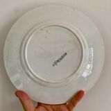 Lot de 6 assiettes plates en terre de fer (LOT 5)