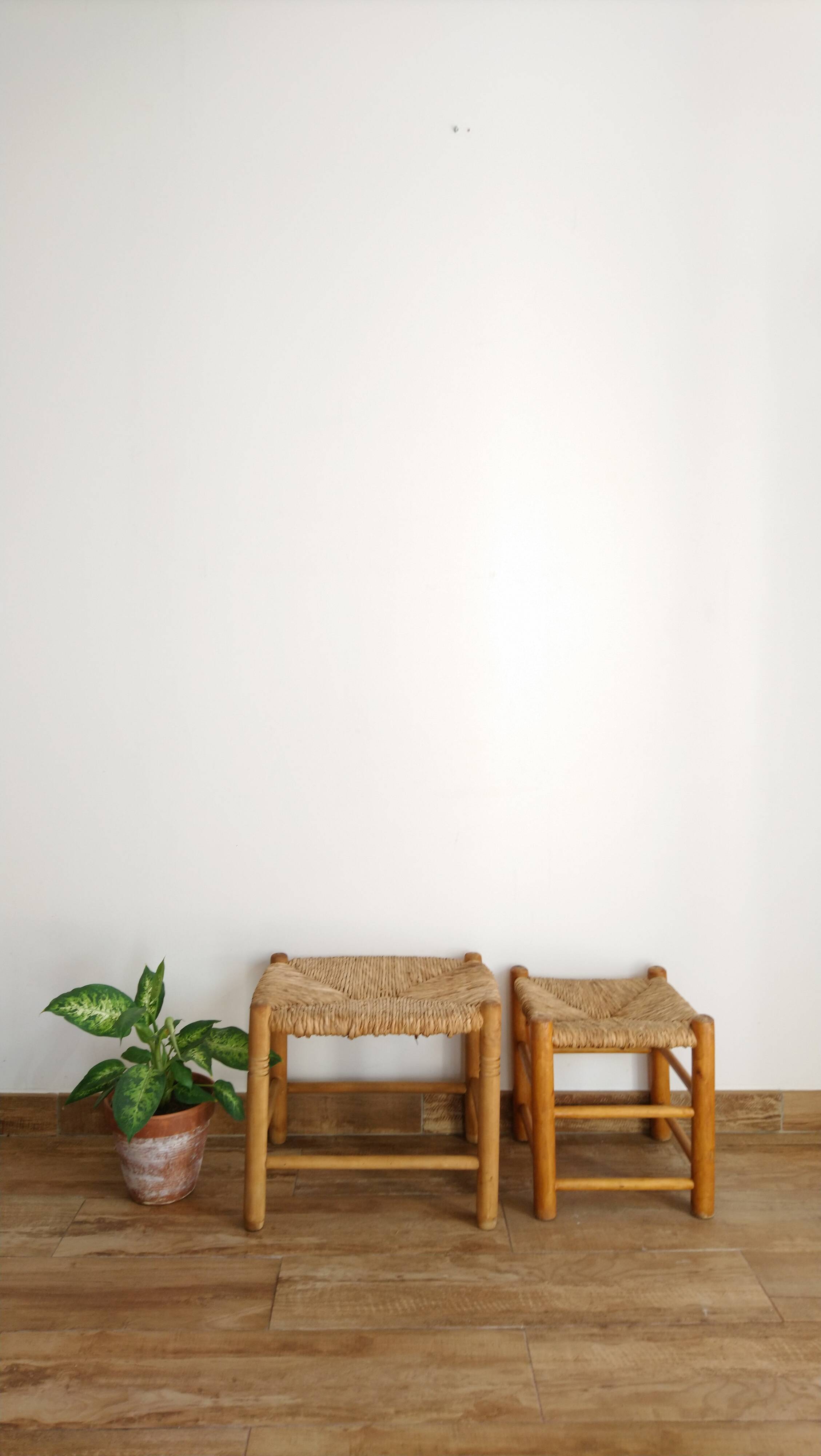 Mulched stool