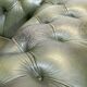 Chesterfield leather 3-seater sofa with mahogany legs - English craftsmanship