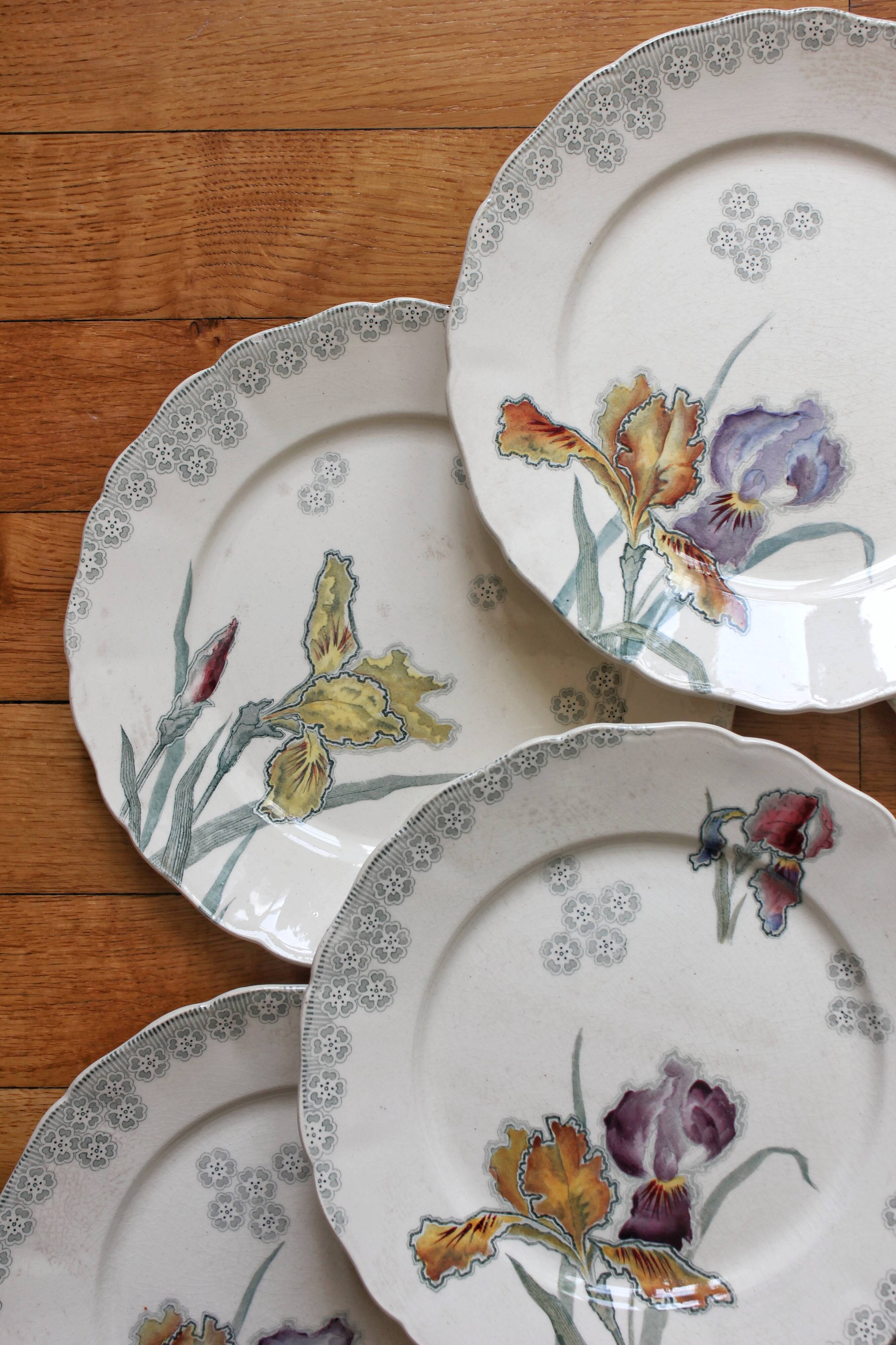 6 large flat plates in polychrome iron earth model "Iris" Choisy-le-Roi