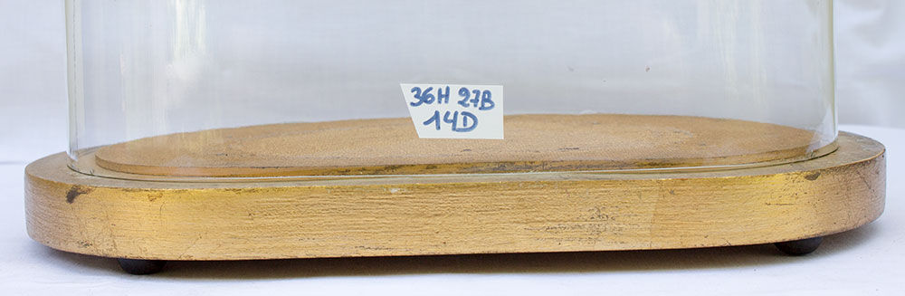 Vintage oval glass globe 36 cm high