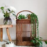 Wicker bottle holders