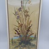 Herbarium on watercolor. the 50's .