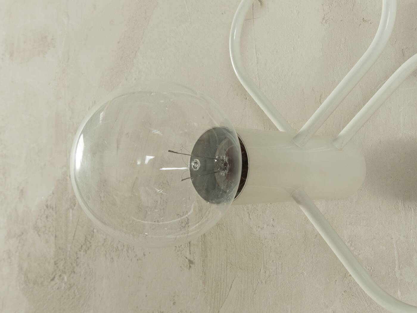 Leola | Gaetano Sciolari