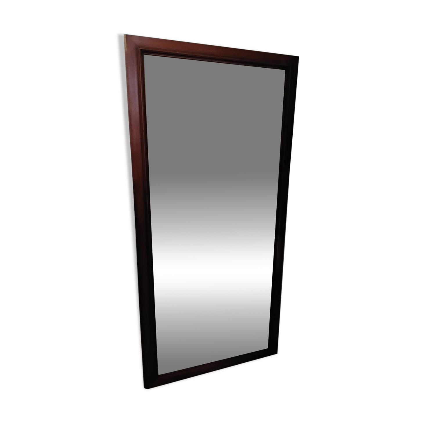 Large mirror/wardrobe door