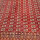 Tapis boukhara  344x246 cm