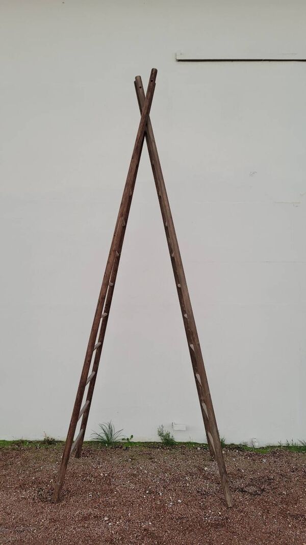 Echelle double de maraîcher récolte fruitière cueillette ancienne en bois -3m65